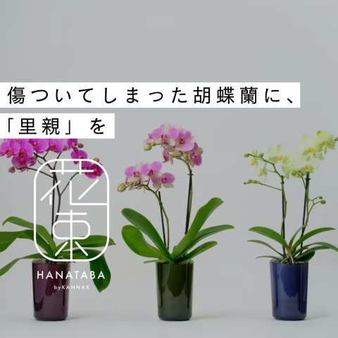 記事のサムネイル