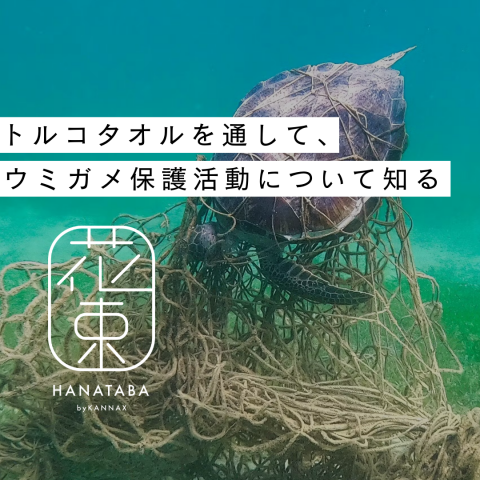 記事のサムネイル