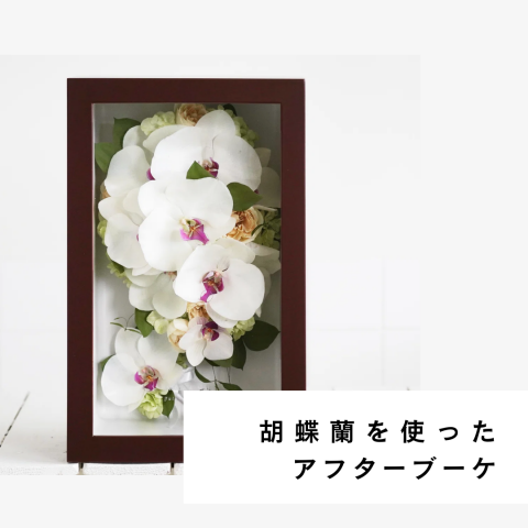 記事のサムネイル