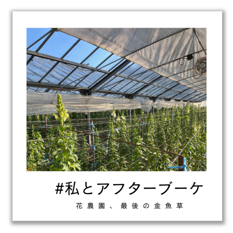 記事のサムネイル