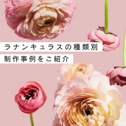 記事のサムネイル