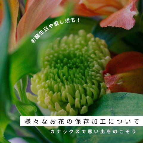 記事のサムネイル