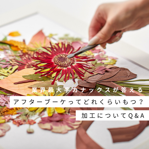 記事のサムネイル